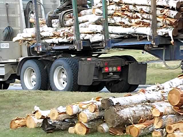 wood 008.AVI