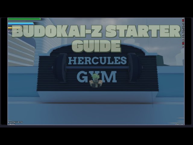 Training Guide For New players in Budokai-z!