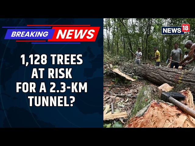 Hebbal Tunnel Road: 1,128 Trees Face Axe For 2.3-Km Project | Public Objections Invited | News18