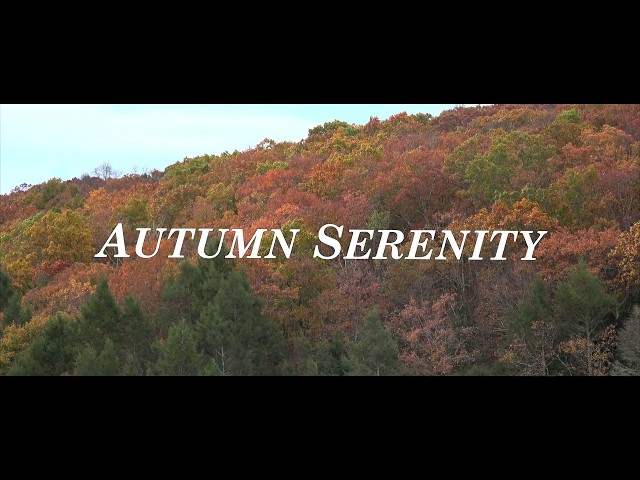 Autumn Serenity | 4K HDR Nature Documentary (Delaware Water Gap)