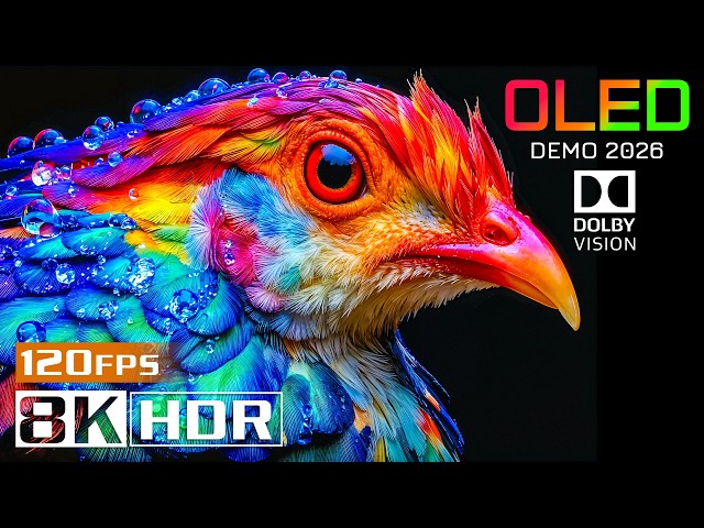Calming Nature Views in 16K HDR 240FPS | OLED Dolby Vision Experience