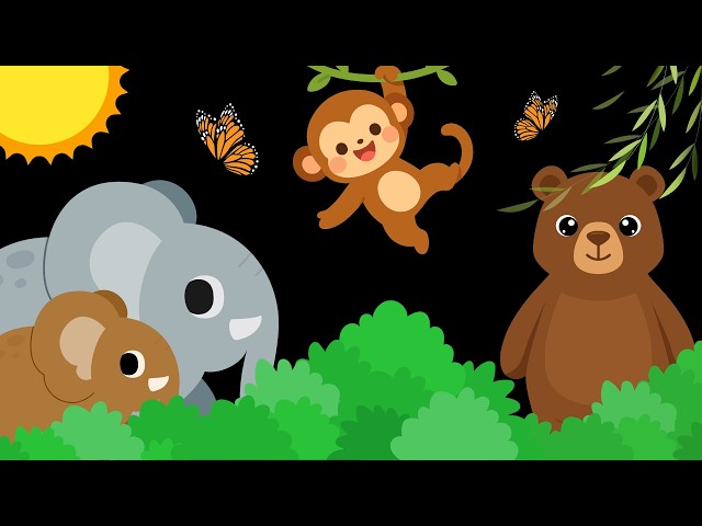 Baby Sensory Video – Newborn Visual Stimulation – Sensory Videos for Babies - Tummy Time #baby