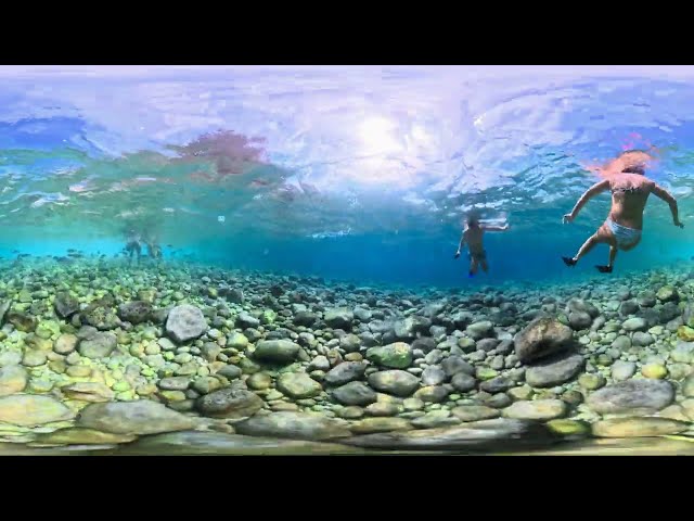 360° Swim With Me Where the Mediterranean Turns Crystal Blue | 8K 2026