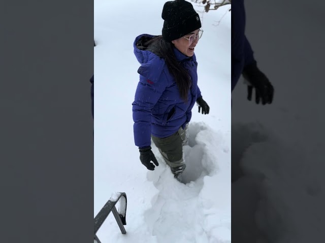Heavy snow in Horten Norway 2023