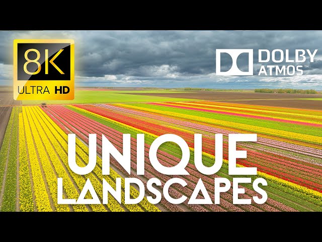 The Planet's Most Unique Landscapes: A 12K Timelapse Journey 8K VIDEO #8K