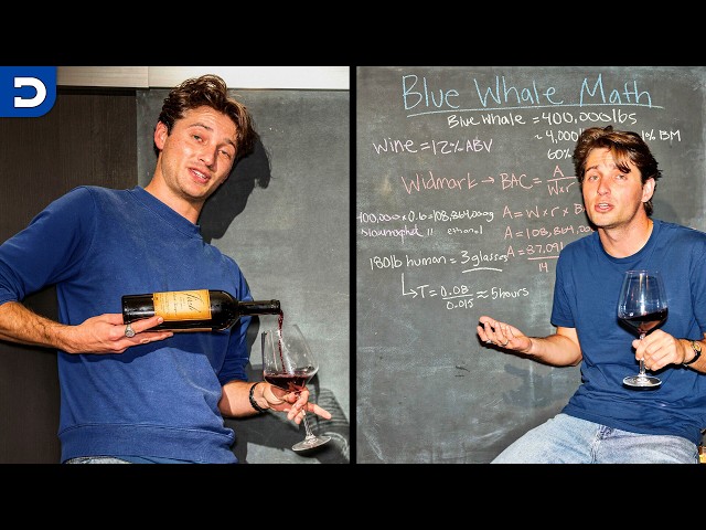 How To Get a Whale Drunk