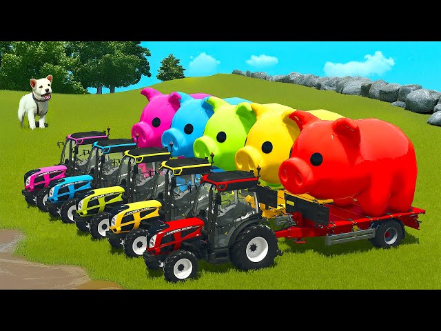LOAD AND TRANSPORT GIANT PIGS WITH MINI LANDINI TRACTORS - Farming Simulator 25
