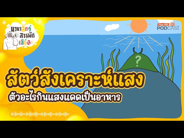 Animal Wonders YT 2026 ep 249 Photosynthetic Animals: What Creatures Eat Sunlight?