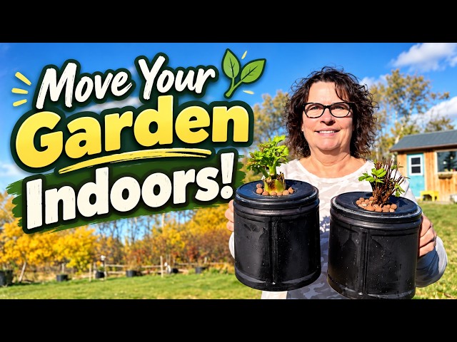 Don't Let Winter Stop Your Garden - Move It Indoors! - Zone 3 Gardening