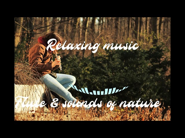 15 mins Beautiful, Relaxing Music To Meditate With Native Flutes