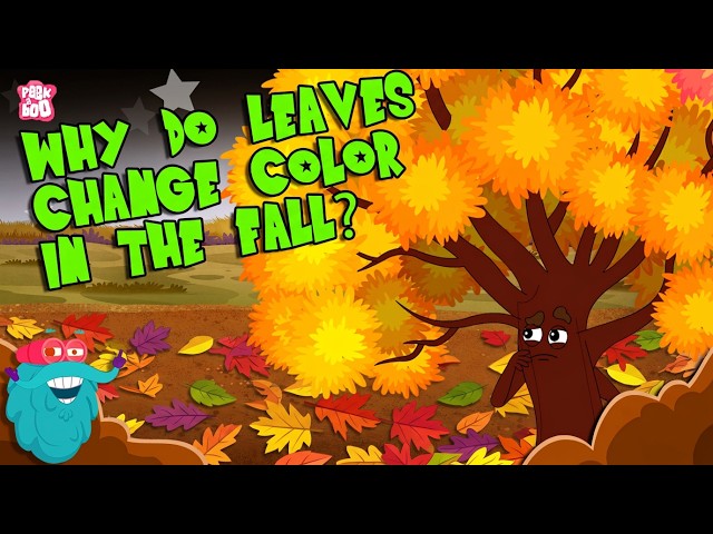 Why Do Leaves Change Colors in Fall? 🍂 The Science Behind Autumn | Fall Season | Dr. Binocs Show