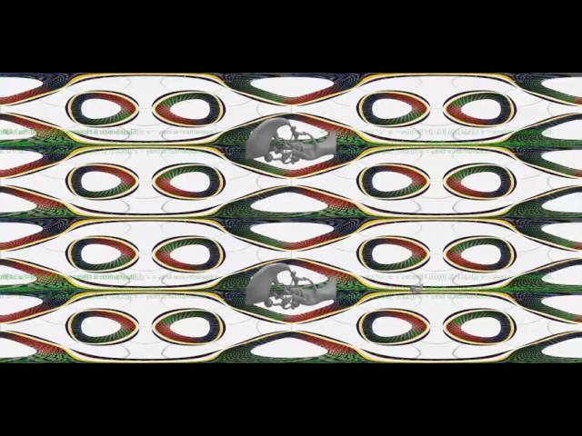 4Dmonkey.gif [VR]