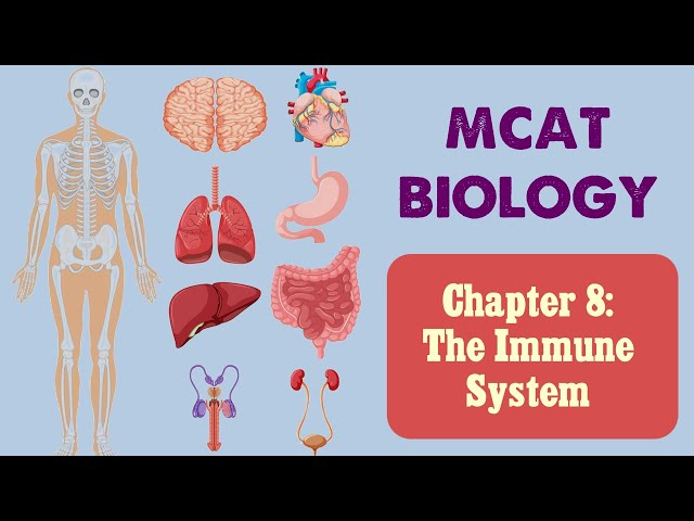 MCAT Biology: Chapter 8 - The Immune System (1/1)