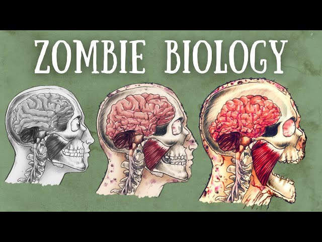 Zombie Biology Explained | The Science of Zombism