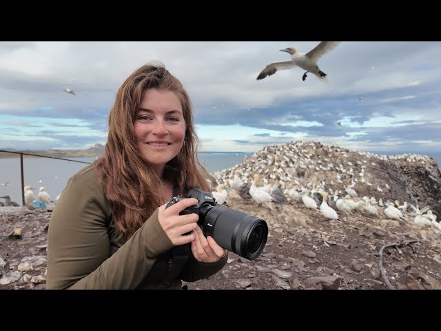 Bass Rock: The world’s largest rock colony of Gannets | Bird Photography