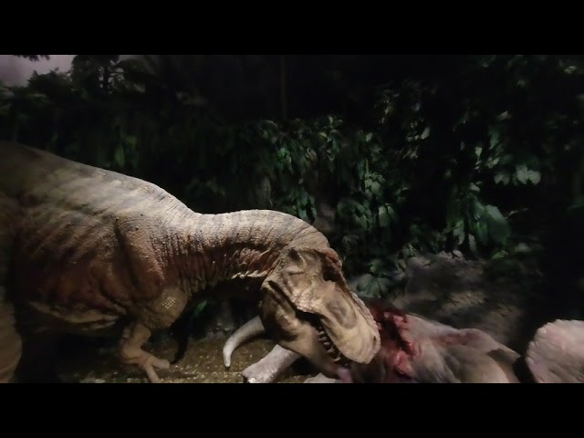 Gondwana Dinosaures 180 VR 3D 030722