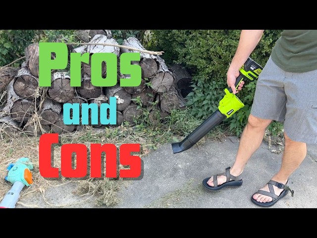 Lightweight yet Powerful Leaf Blower