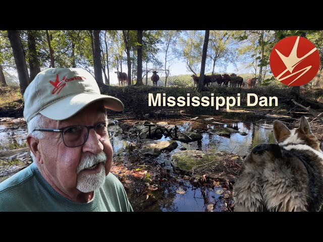 South Mississippi: The Deep South
