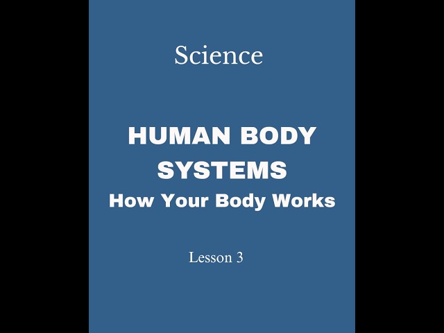 Human Body Systems Explained | GED Science: How They Work Together