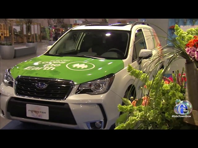 6abc Flower Show Special: Pt. 2
