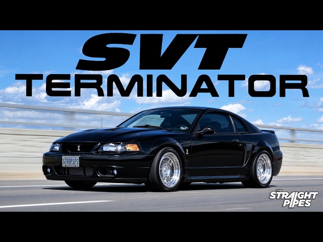Why Pay $200,000 for a Dark Horse SC When You Can Get a $20K Terminator Cobra?
