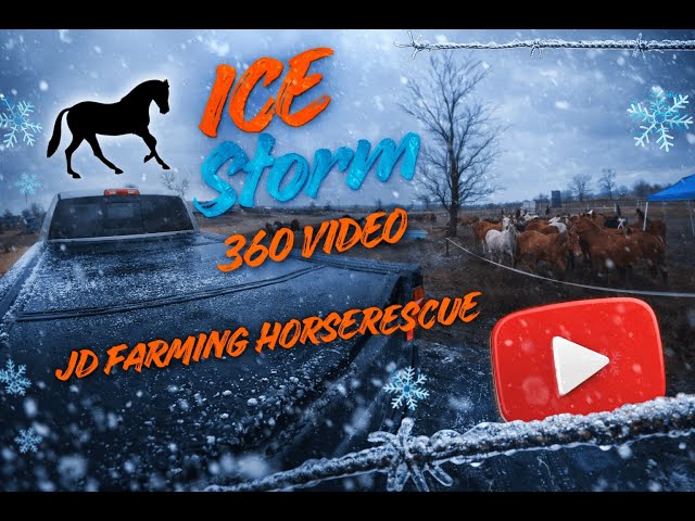 360 Vid - Feeding before the Ice Storm Hits | Rescue Ranch Life 2026
