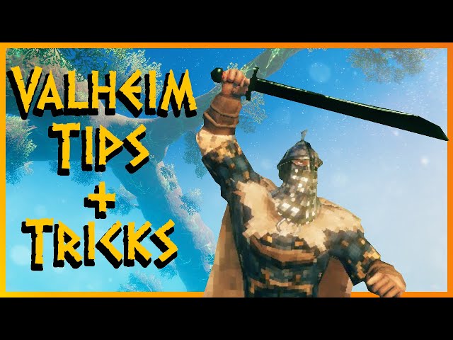 TOP SECRET Valheim Tips You Missed