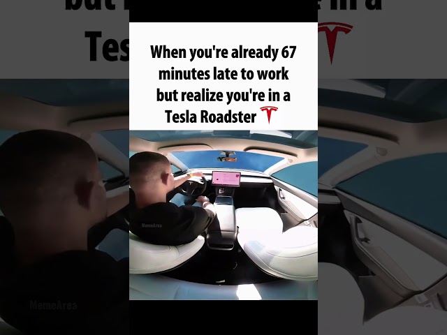Police chase gonna be crazy