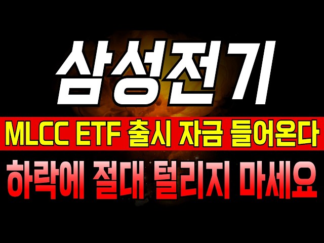 [삼성전기 주가전망] MLCC ETF 출시 자금 들어옵니다 하락에 절대 털리지 마세요
