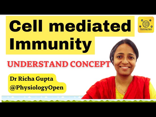 Cell mediated immunity physiology of immune system mbbs