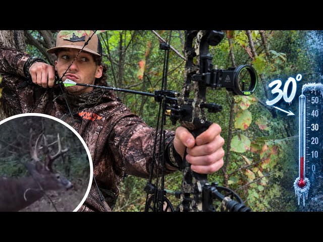 Bow Hunting Kentuckys First Cold Front (DEER ARE MOVING)