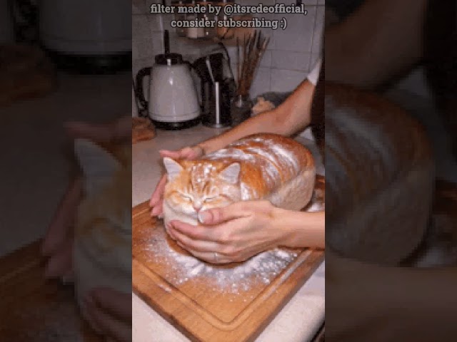 Tutorial!!!