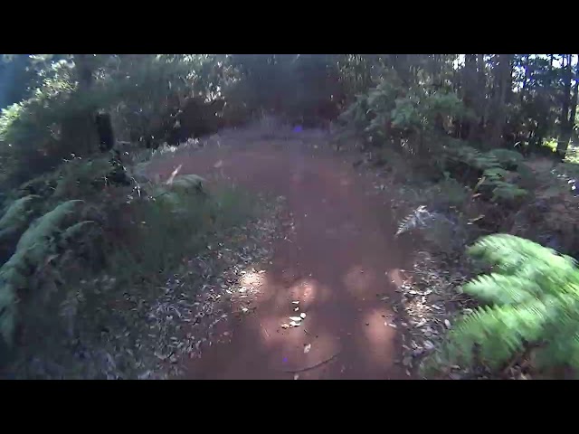 🟩 Murray Valley | Year 1 | POV | Downhill MTB