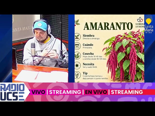 OCTUBRE SE SIEMBRA, AMARANTO Y VERDOLAGA | SIEMBRA LO BUENO | 09.10.26