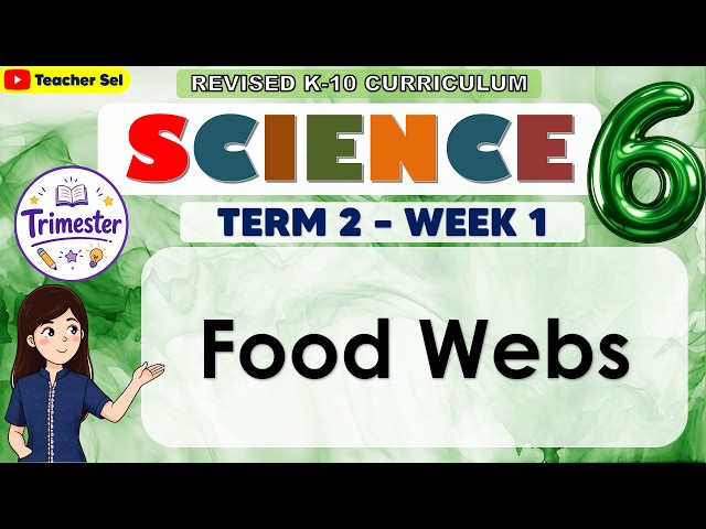 Science 6 Term 2 Week 1 - Food Webs