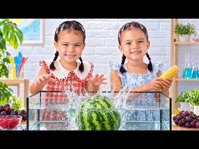 Sink or Float with Twin Twin | Fun Science Experiment for Kids