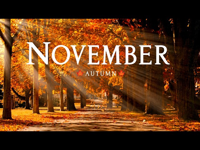 November 2026 8K 🍂 Magical Autumn Landscapes, Golden Forests & Stunning Fall Colors