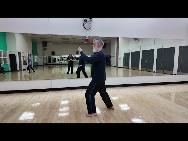 Tai Chi Yang Style 24 David McGee 041425