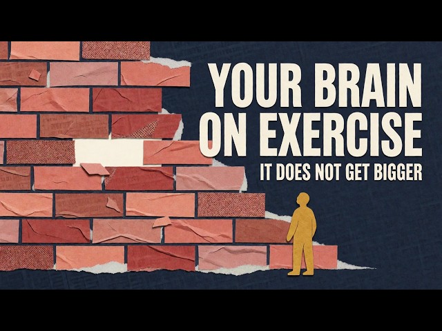 What Happens to Your Brain When You Exercise