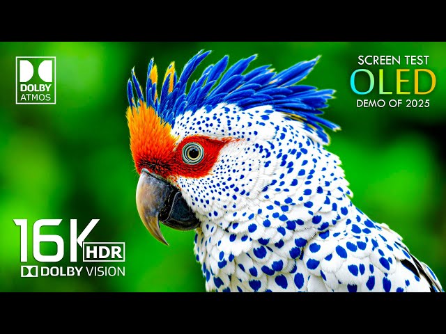 Amazing OLED Demo 16K HDR 120 FPS Dolby Vision (16K Video ULTRA HD)