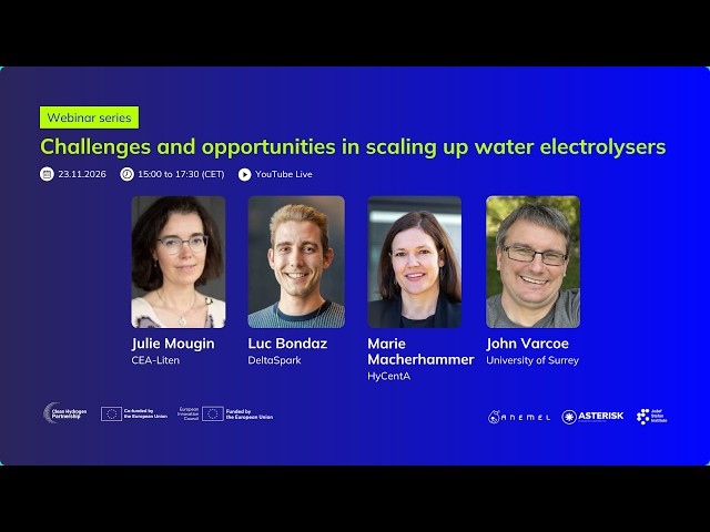 Multispeaker workshop: Challenges and opportunities in scaling up water electrolysers