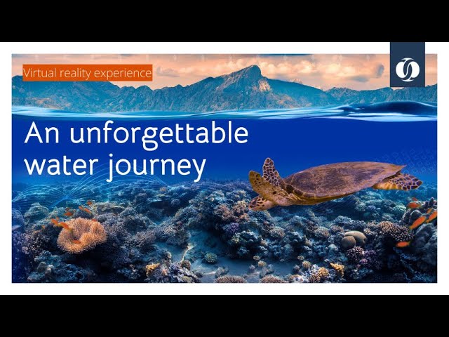 Step into a 360° VR journey through the world of water