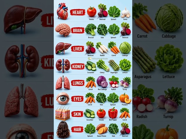 Best Foods for Every Part Of Your Body 🧠🫀🥕🥦Organ-Boosting Foods #healthyeating