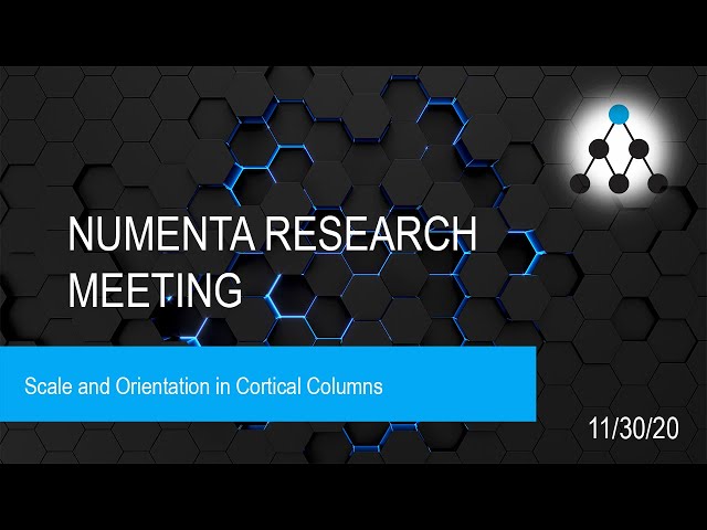 Jeff Hawkins on Scale and Orientation in Cortical Columns - November 30, 2020