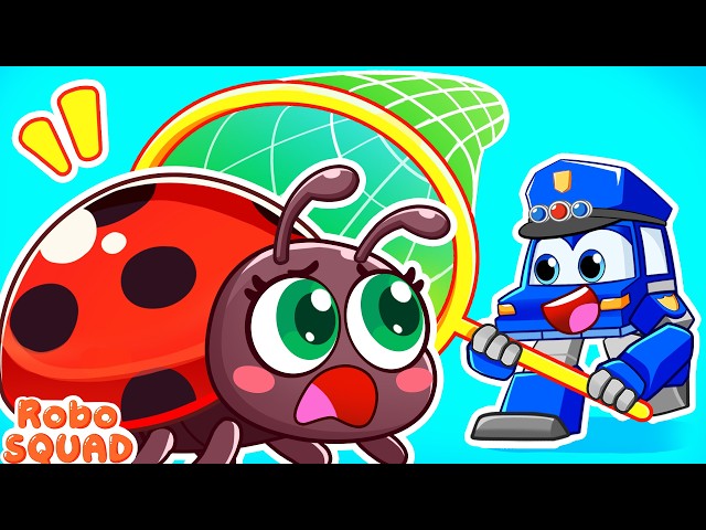 Catching Bugs at Home | Learn About Bugs | Educational | Police Cartoon | RoboSquad