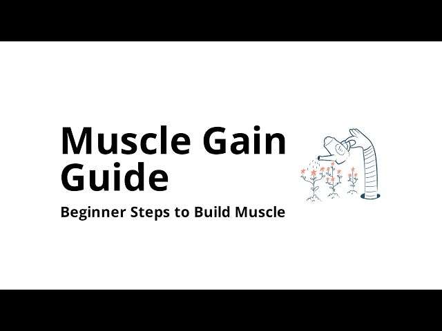 How to Gain Muscle for Beginners