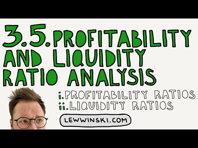 3.5 PROFITABILITY AND LIQUIDITY RATIO ANALYSIS / IB BUSINESS MANAGEMENT / profit margin, liquidity