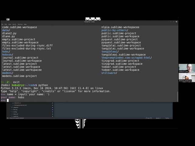 Active learning for Python