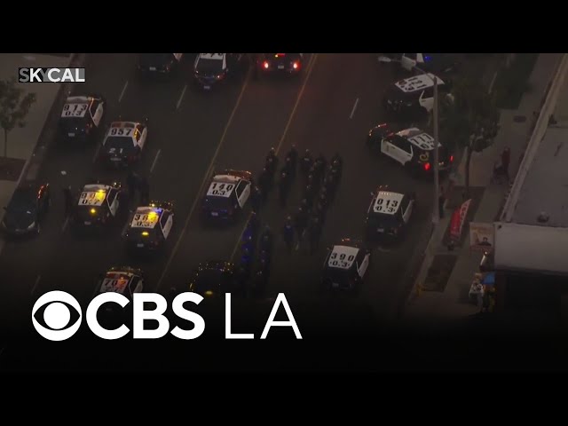 LAPD issues citywide tactical alert for unruly crowd