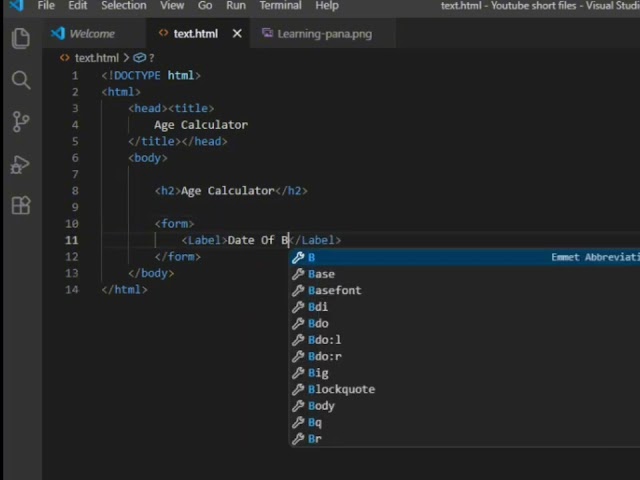 Build an Age Calculator Using HTML Only! 🤯 | Beginner HTML Project